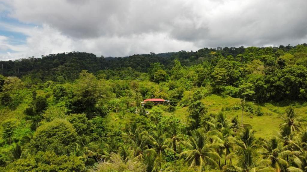 Albergue La Laguna Puerto Jiménez Kültér fotó