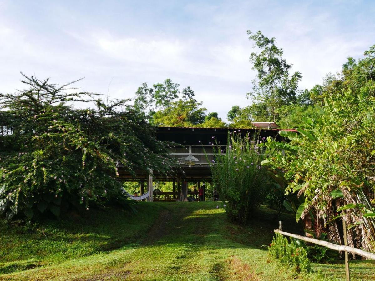 Albergue La Laguna Puerto Jiménez Kültér fotó