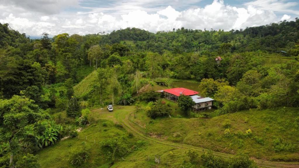 Albergue La Laguna Puerto Jiménez Kültér fotó