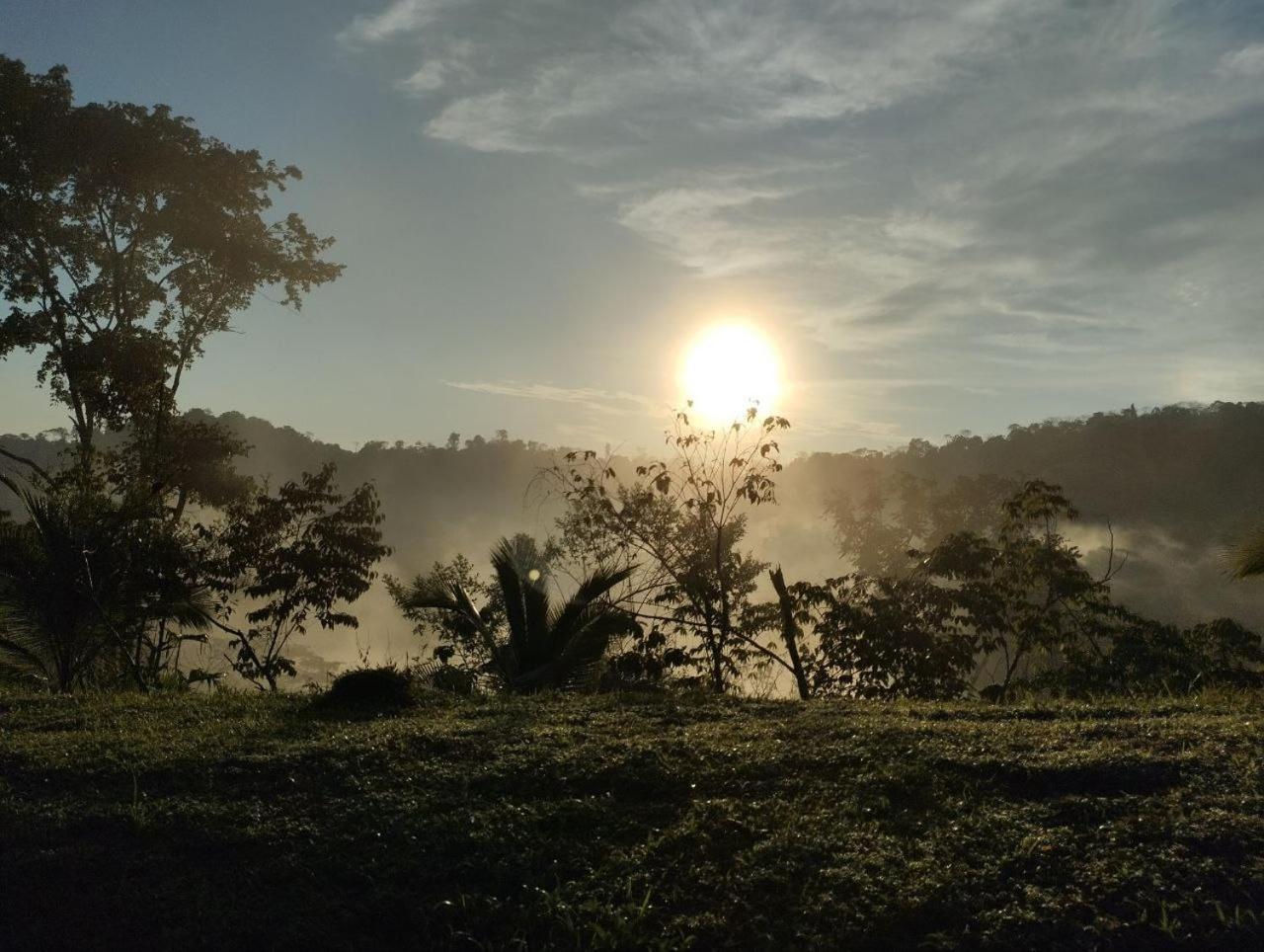 Albergue La Laguna Puerto Jiménez Kültér fotó