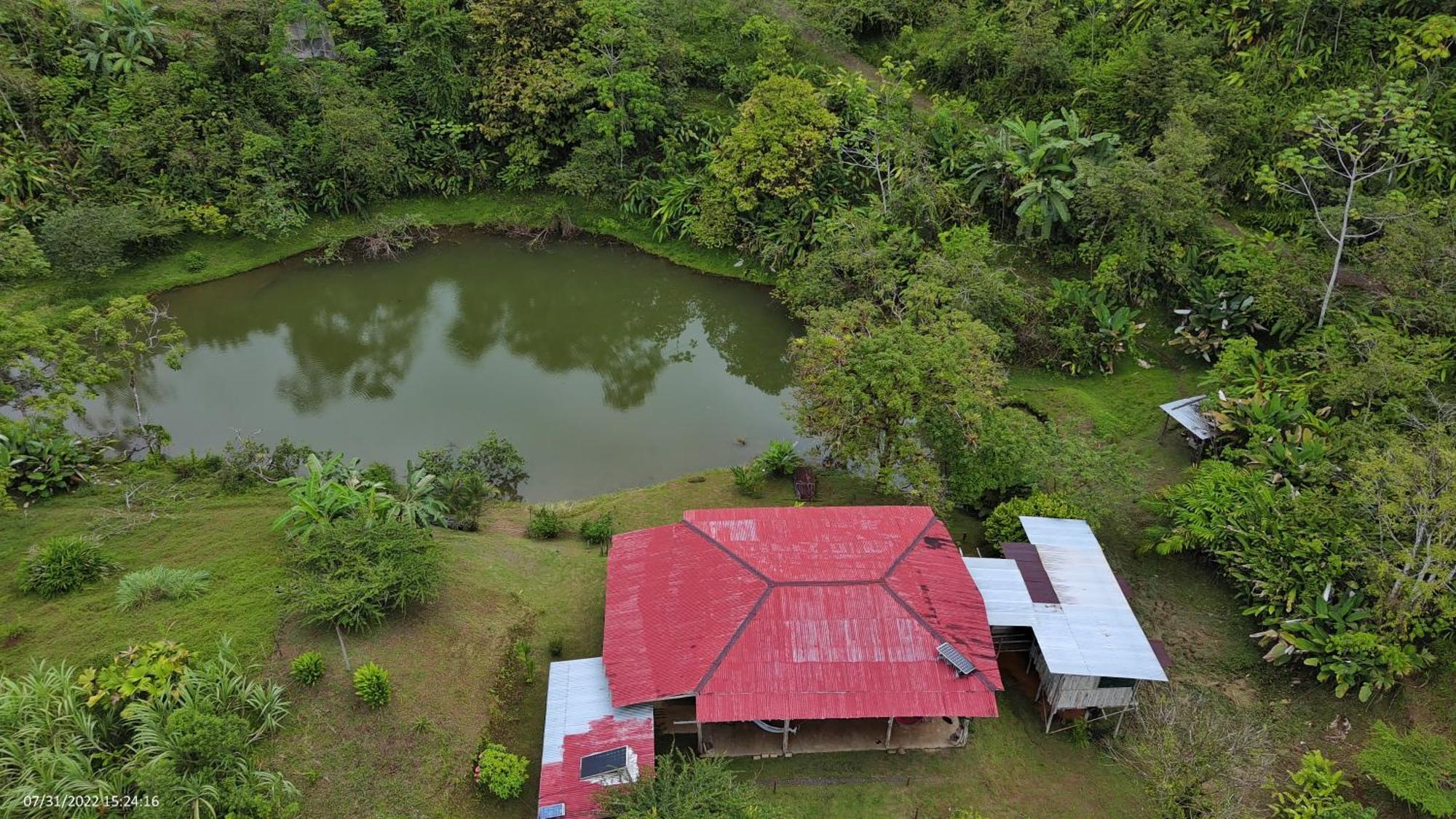 Albergue La Laguna Puerto Jiménez Kültér fotó