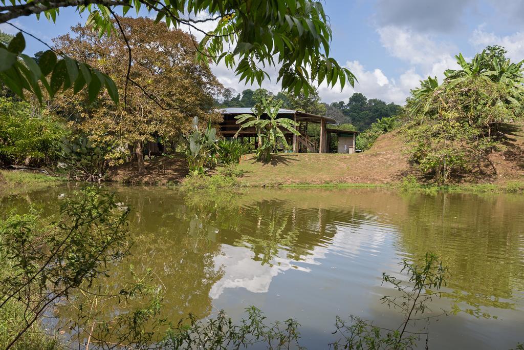 Albergue La Laguna Puerto Jiménez Kültér fotó