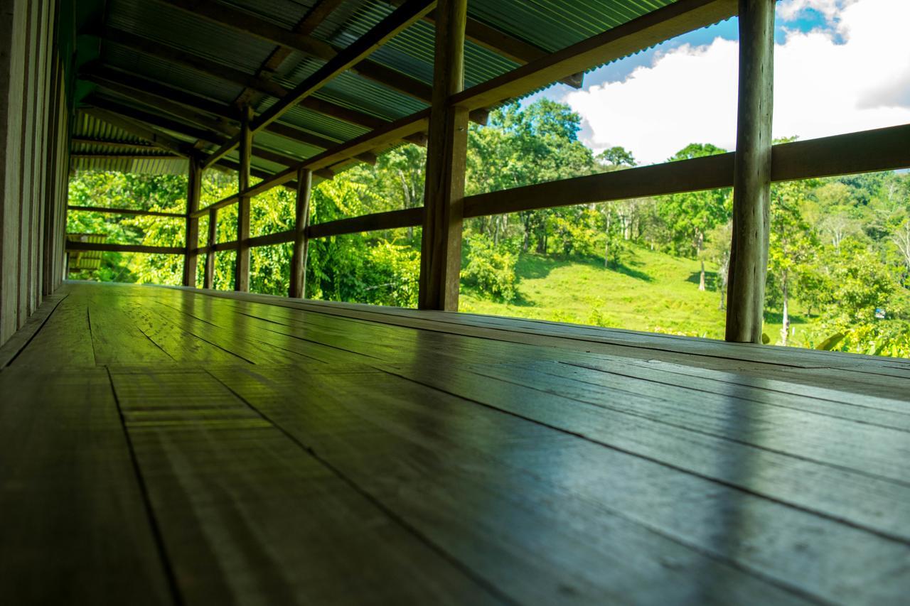Albergue La Laguna Puerto Jiménez Kültér fotó