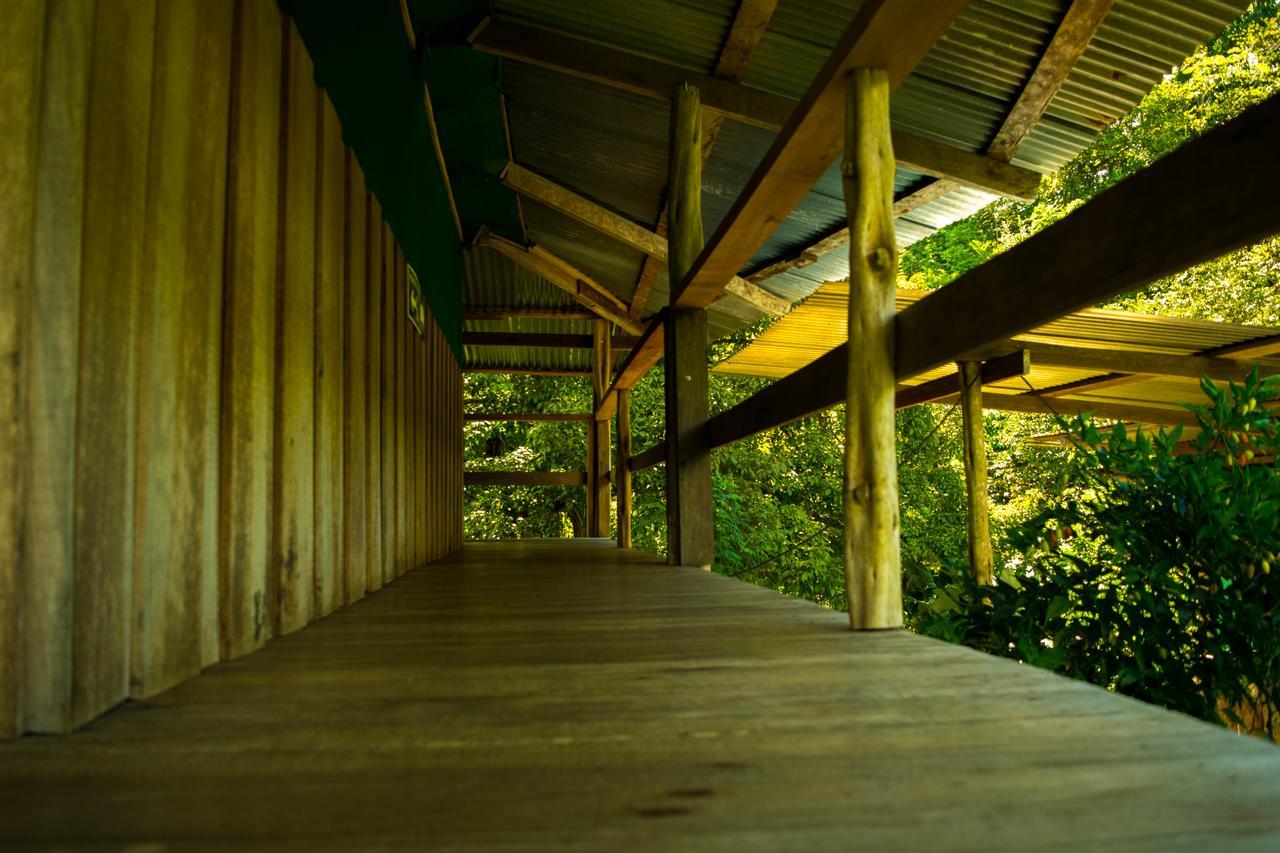 Albergue La Laguna Puerto Jiménez Kültér fotó